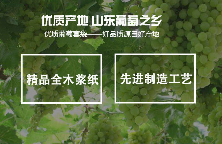 29735aa5-d111-42cc-9d4a-5c6188a5c475.jpe