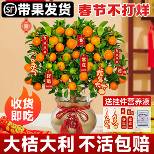 �ļ���ۘ����Կ�ʳ�������҃����ӹ���Gֲɳɰ�ǽۘ��玧������