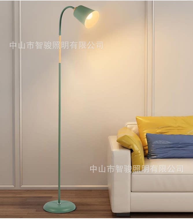 Lámpara de Pie Nórdica de Hierro y PVC con Protección Ocular para Sala de Estar y Dormitorio image 12