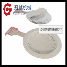 煙道爆破片 鍋爐專用爆破膜片 法蘭對夾爆破片