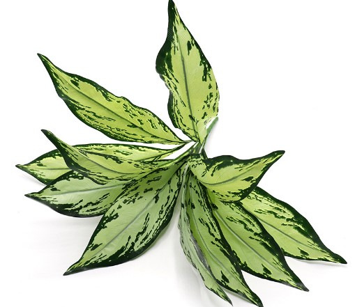 Simulation green plants plastic Persian grass green landscape grass plant wall materials decoration gardening home green plants_voghion.com