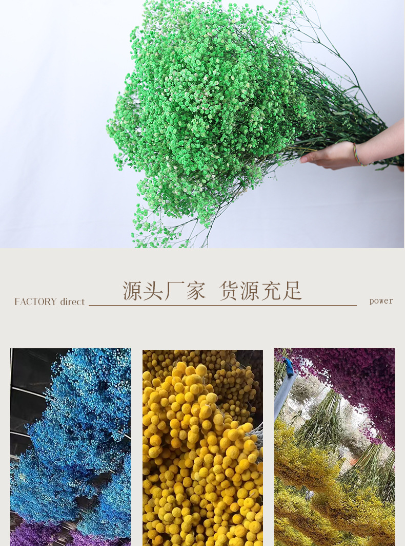满天星_09