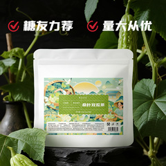 糖友力荐可以喝真材实料搭配桑叶苦瓜冬瓜皮花茶养生茶桑叶双瓜茶