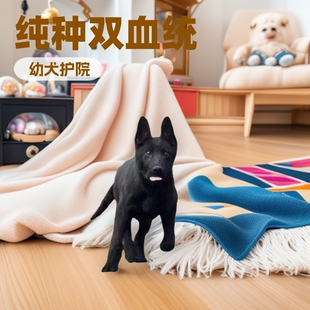 ���N�pѪ�y�|������Ȯ��Ȯ���w�pѪ�y�����oԺȮ����Ȯ��Ȯ���͹�