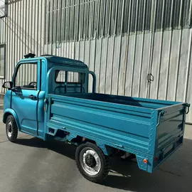 电动三轮车;其他电动车;三轮车