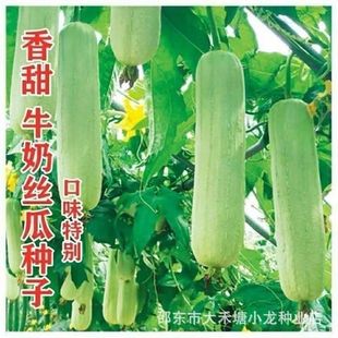 ����ţ�̰׽z�ϷN�Ӵ���������z�ϷN�Ӹ߮a�z���ѷN�ļ��߲˷N��