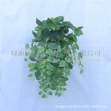 白网仿真植物墙网叶眼眉挂壁装饰壁挂花藤蔓吊篮家居摆设花艺