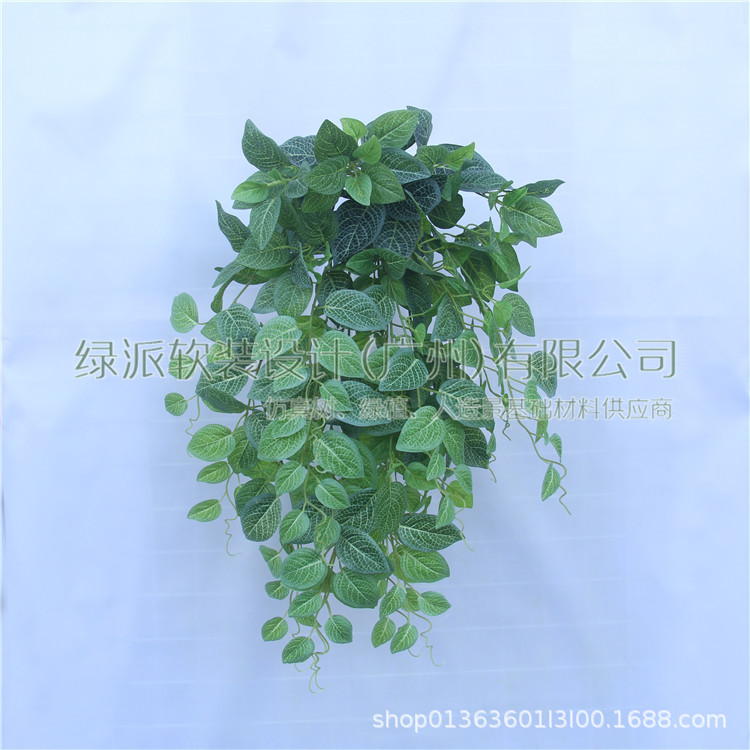 白网仿真植物墙网叶眼眉挂壁装饰壁挂花藤蔓吊篮家居摆设花艺