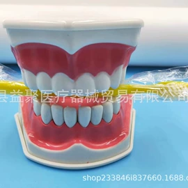 其他工艺品;口腔护理（械字号）;其他口腔护理