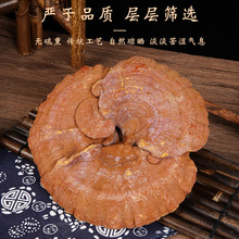 安徽大别山赤灵芝整朵带粉野生中药材泡酒泡水煲汤厂家现货保健