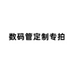 数码管付款专拍
