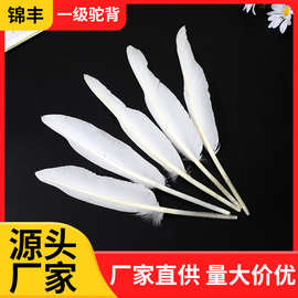 厂家批发白色鹅毛一级驼背DIY手工羽毛笔毽球头饰羽毛球原材料