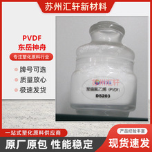 PVDF|ADS203ĩTPVDF֬ͻWg