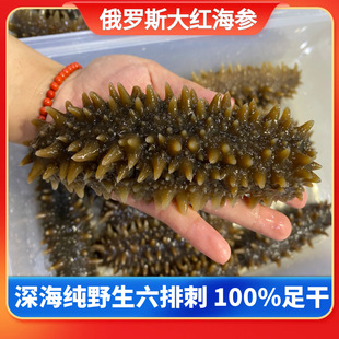 Ұ�����_˹��t������؛������Ŵ̼����ɶ��_˹���t�Ǵ��B�|�̅�