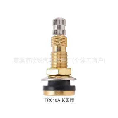 Tr618A Valve Engineering Vehicle valve - tr618a-with-long-round-cap
