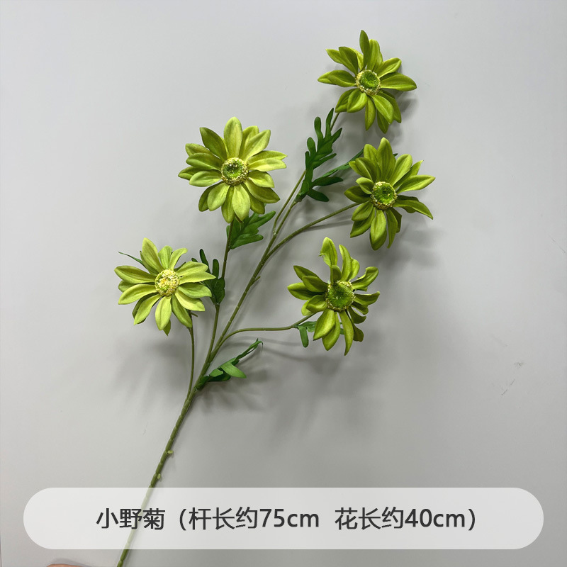 芦荀草绿植花龙须草假花白绿森系婚庆装饰自然风背景插花路引|undefined
