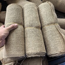 �鲼���F؛�鲼�l��ɫ���l��ˇ���鲼�鲼���b���l���b�S��ֱ��
