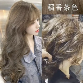 染发剂;洗发水;其他美发产品