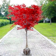 ձt༾ЇtͥԺt輧GֲľGľL