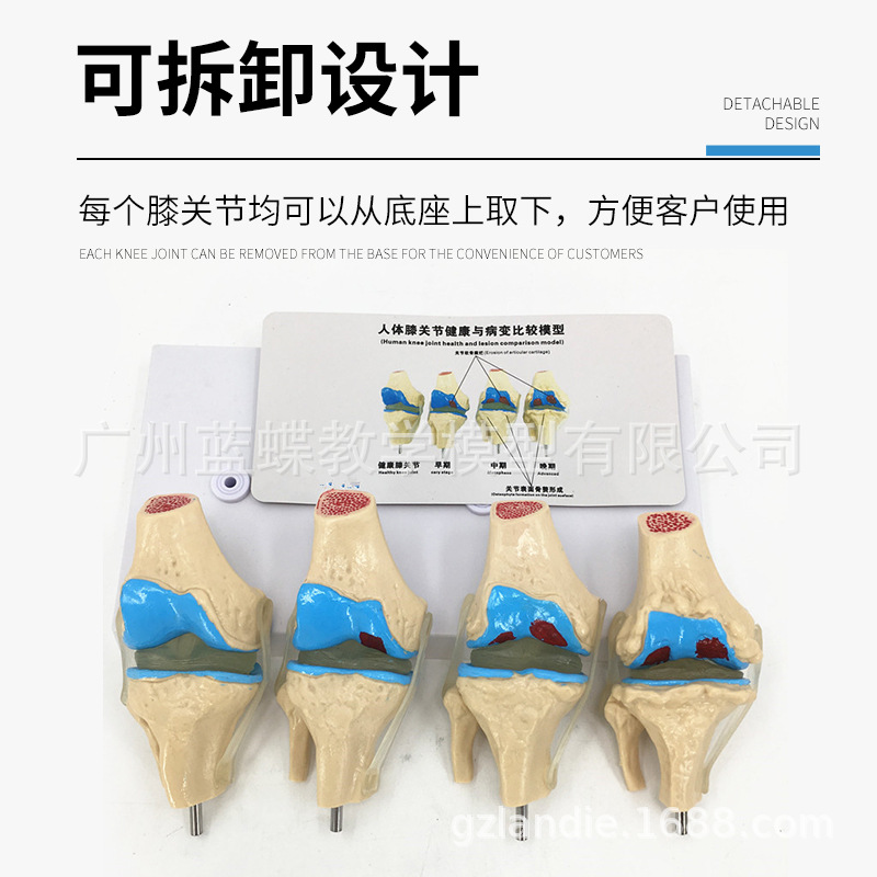 ���岡��ϥ�ؽ�ģ�� ��̬ϥ�ؽ������� ϥ�ؽ� ϥ�ؽھ�������ͨ