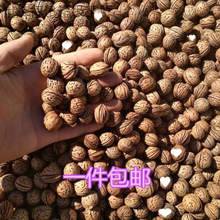 桃核雕刻料寺庙朱砂桃核胡桃文玩散籽颈椎枕头拍打袋原料饰品手链