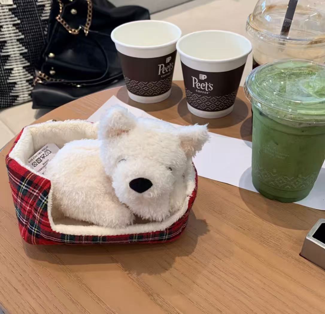 コレクション1;