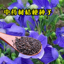 ���羳��؛���۹����N���޸�ϲꎻ��N����K�����������������