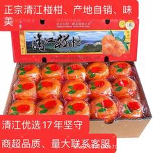 湖北宜昌长阳岩松平清江椪柑丑橘产地直发批发带箱11-12斤30枚