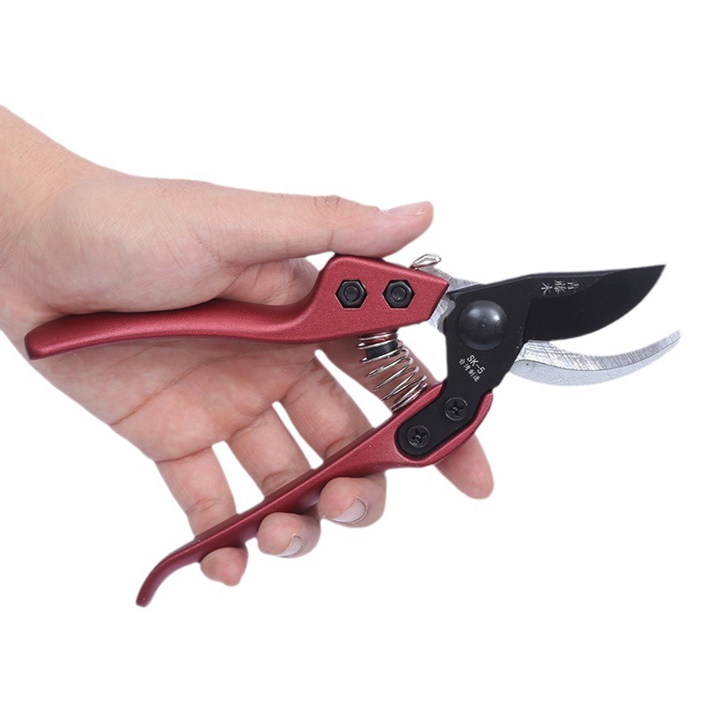 Herramientas de jardín de vid verde tijeras de podar de árboles frutales en stock suministro de flores y frutas tijeras de teflón recubrimiento negro ahorro de mano de obra tijeras de fruta