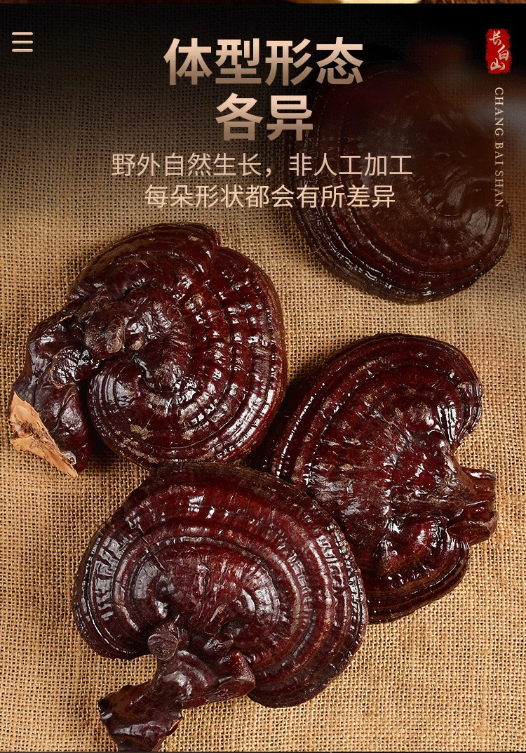 Changbai Mountain Reishi Mushroom Whole Dried Gift Box Lingzhi Zi Zhi 180g quality and texture