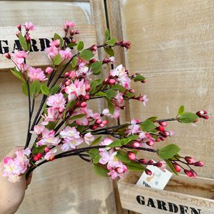 ��֦���Ļ�����ѻ����� ��c�쾰�ٻ��b������Ļ��Gֲ�ٻ�