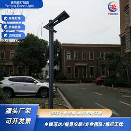 支持定制小区庭院灯公园庭院灯3米4米5米