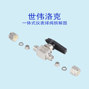 Swagelok SS-43GS4 1/4in��������_�P ��ֹ�y���׽��^һ�wʽ���y