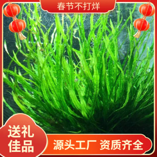 ���~�F�ʹڃ���ˮ���~���о����쾰��Ժ��B������������