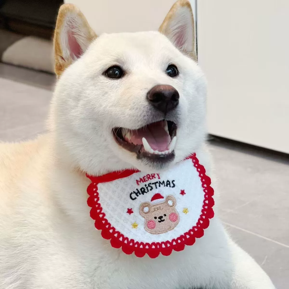 Рождественское платье для кошек и собак Amazon, вышитый нагрудник с вышивкой слюны, готовый запас