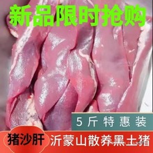 ��5����ɳ�Ρ�����ɳ�� ��Ƣ��ʨ�Ӹβ�����������ˮ����������