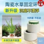 新款定植篮固定环鱼缸