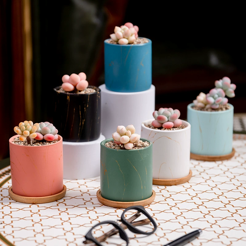 Na Pin Export Cross-Special для простых современных цветных керамических мясистых цветочных горшков, домашних украшений