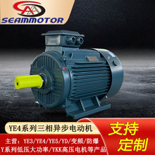 �ӱ�����늙C�������aYE4-2/4/6/8�O2.2-400KW����Ч���ஐ��늙C