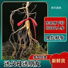 ���օ����r�������r�˅�ɽ���|���r�˅��������L��ɽ�˅�