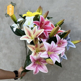 ����ٺϻ�2�^1�� ��ˮ�ٺϷ��潁���Ӽ��b� �ٻ����l