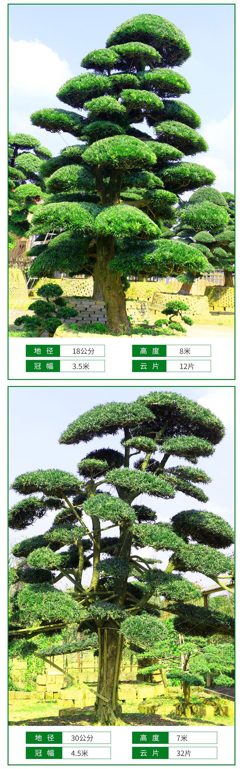 �޺���-����_09