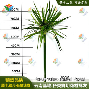 �L܇���r�����r��c��Ӳ��û����仨��ݾGɫ������С���������l