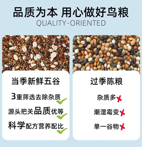 Budgie feed black phoenix bird food yellow millet peony bird food five-color millet mixed bird food can be shipped on behalf of