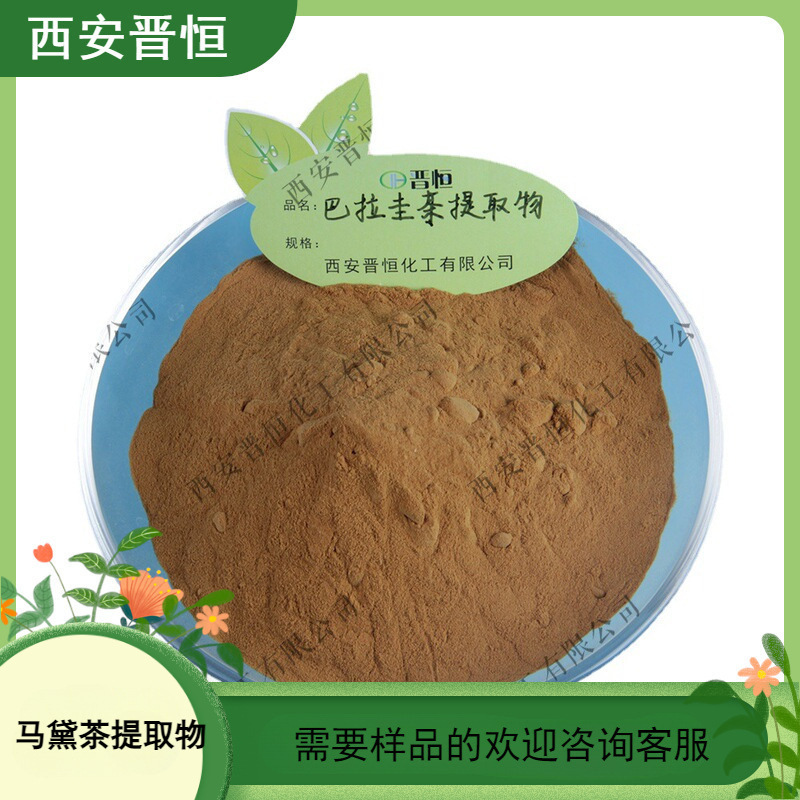 马黛茶提取物 巴拉圭茶提取物 水溶粉末 1KG起订 现货