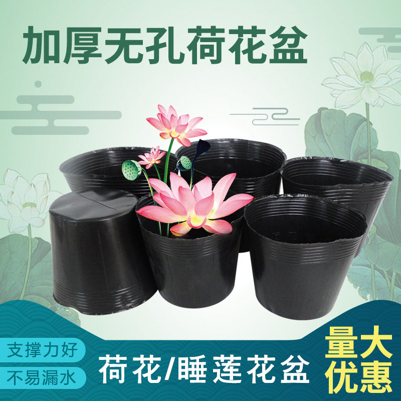 Factory wholesale plastic lotus pot thickened perforated anti -aging…