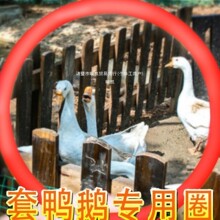 �Α�R���㟟�ؔ��W�t��������Ȧ��ҹ���״��Z��ȦȦ���IȦȦ