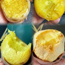 黄金榴莲蜜薯地瓜甜软糯农家红薯新鲜现挖现发黄心山芋地瓜番薯