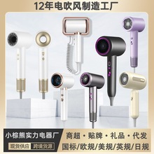 늴LCؓxLͲlȼôʴLl羳hair dryer