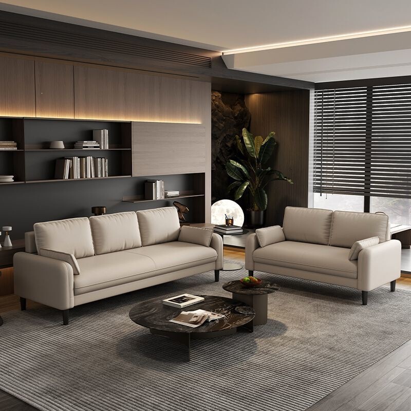 Light Luxury Sofa for Apartment Reception, Small Apartment Homestay, Clothing Store, Rental Apartment, Double or Triple Sofa for Rest Area